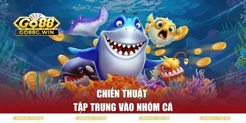 Chiến thuật tập trung vào nhóm cá